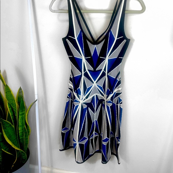 Herve Leger Fitted DressSize XS